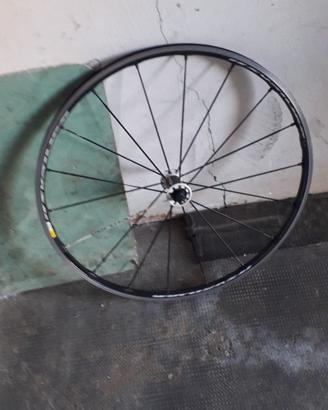 Ruota Mavic ksjrius
