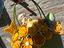 Immagine 1
