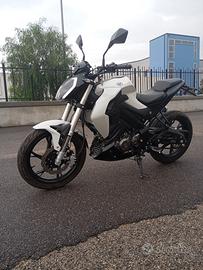 Rkf 125 2021