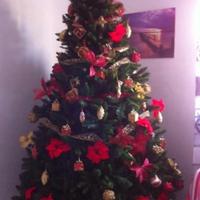 Albero di natale più di 250