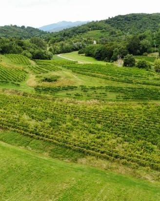Terreno di 26640 m² a Cividale del Friuli