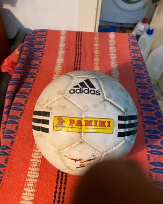 Pallone panini