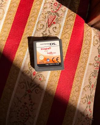 Schedina Imagine Artist Nintendo DS