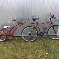 MTB con birocio o cammellino & portabici U.DEI