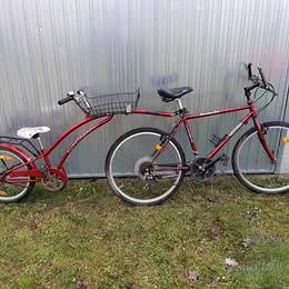 MTB con birocio o cammellino & portabici U.DEI