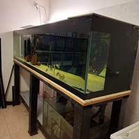 Acquario professionale 900 litri