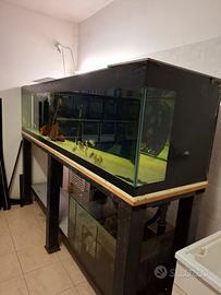 Acquario professionale 900 litri