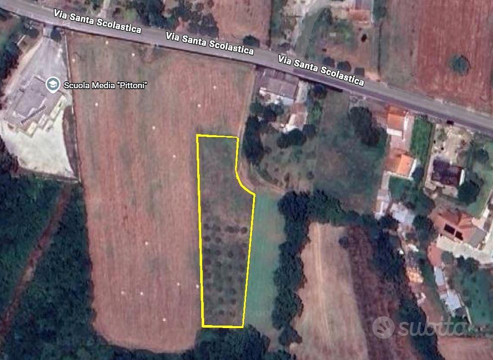 Terreno agricolo con uliveto - Vista 5