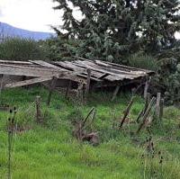 Terreno Agricolo Piancastagnaio [A4345768]
