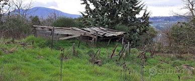 Terreno Agricolo Piancastagnaio [A4345768]