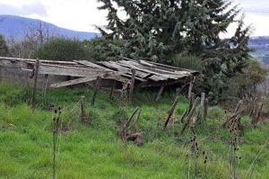 Terreno Agricolo Piancastagnaio [A4345768]