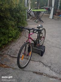 MTB canyon vintage 