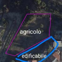 Terreno edificabile e agricolo