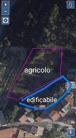 Terreno edificabile e agricolo