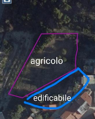 Terreno edificabile e agricolo