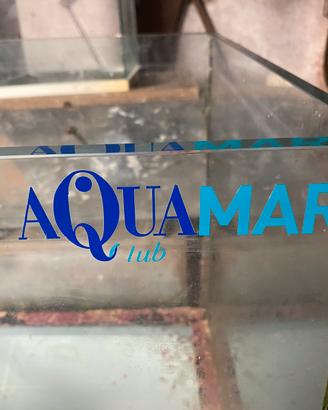 Acquario