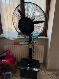Nuovo ancora nel cartone