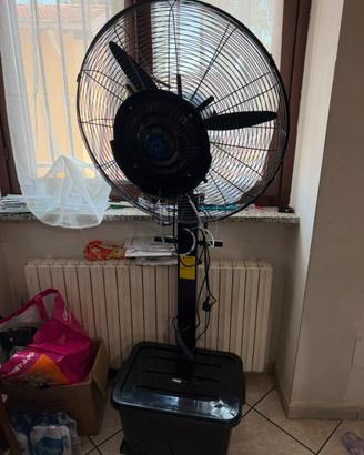 Nuovo ancora nel cartone