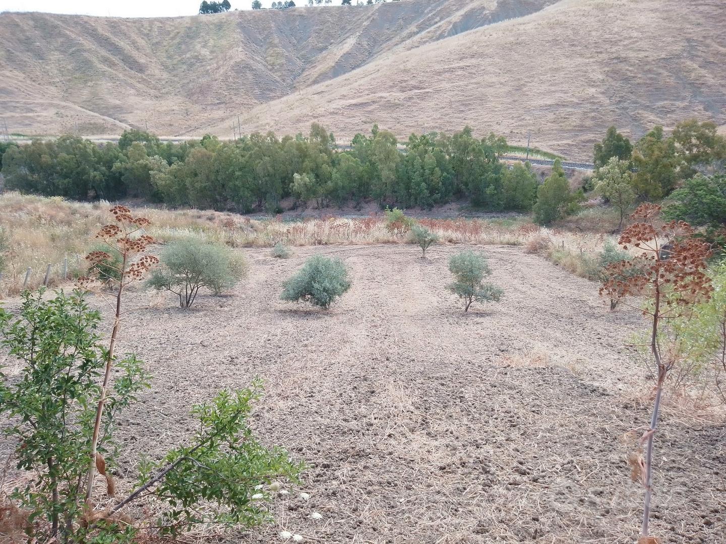 : Casa di campagna con 2.000 mq di terreno - Vista 4