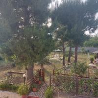 Villa immersa nel verde a pochi km dal mare