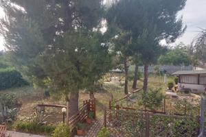 Villa immersa nel verde a pochi km dal mare