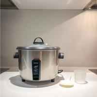 Cuociriso Kenwood RC 310