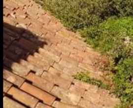 CASA SINGOLA CANNIZZARO (190 vende)