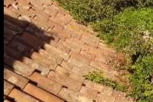 CASA SINGOLA CANNIZZARO (190 vende)