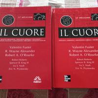 Hurst - Il cuore 11a edizione