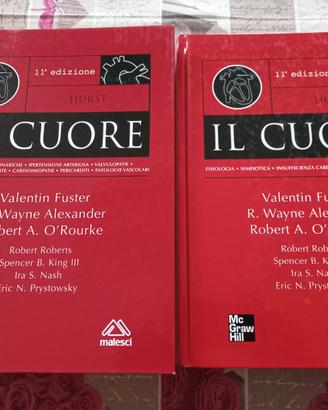 Hurst - Il cuore 11a edizione