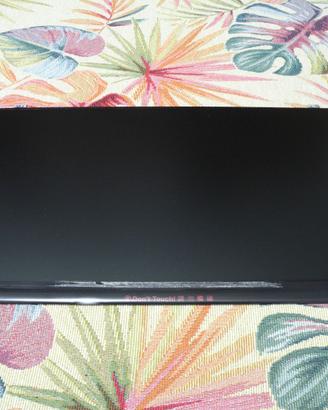schermo display per pc portatile