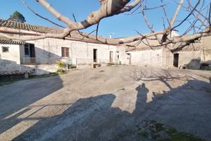 Indipendente con terreno