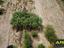 Immagine 28