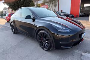 Tesla Model Y AWD Performance