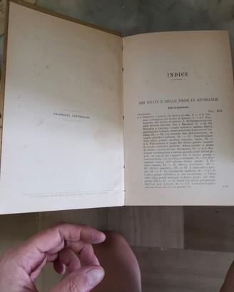 trattato diritto penale Vallardi 1900 - 5 volumi a