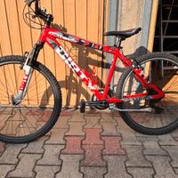 Bici mtb