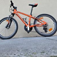 Ktm bambino