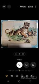 Acqurello raffigurante Tigre