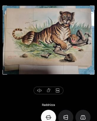 Acqurello raffigurante Tigre