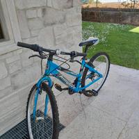Bicicletta ragazza 10-14 anni