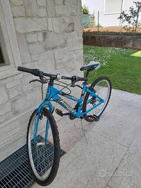 Bicicletta ragazza 10-14 anni