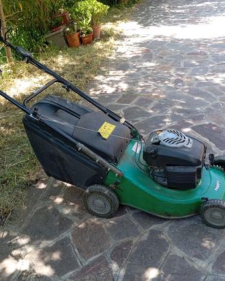 tagliaerba da giardino 