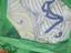 Immagine 5