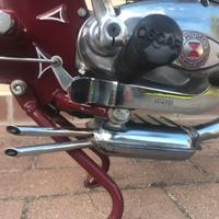 Tubone oscar college mc/e