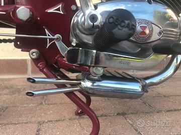 Tubone oscar college mc/e