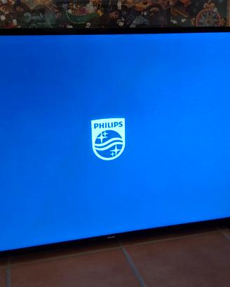 Televisore PHILIPS 43"
