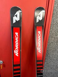 Nordica Doberman GSR