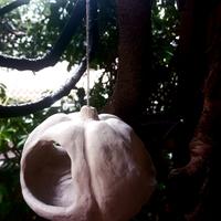 mangiatoie e/o vasetti  fiori