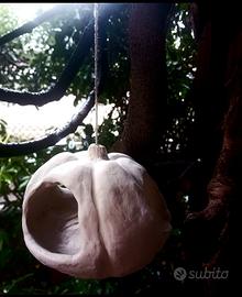 mangiatoie e/o vasetti  fiori