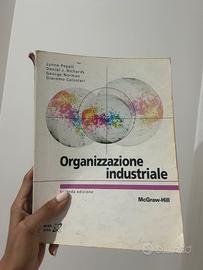 Organizzazione industriale